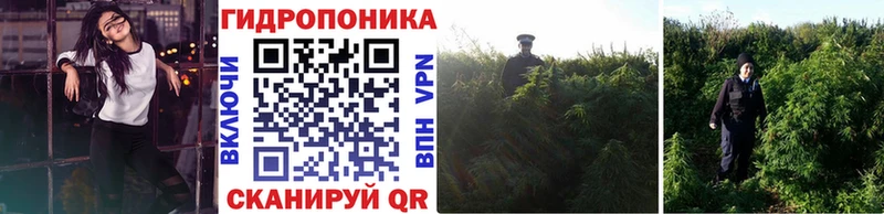 Купить наркотик аптеки Светлогорск Галлюциногенные грибы Меф мяу мяу Гашиш АМФЕТАМИН Каннабис Alpha-PVP Кокаин