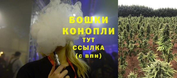 винт Балахна